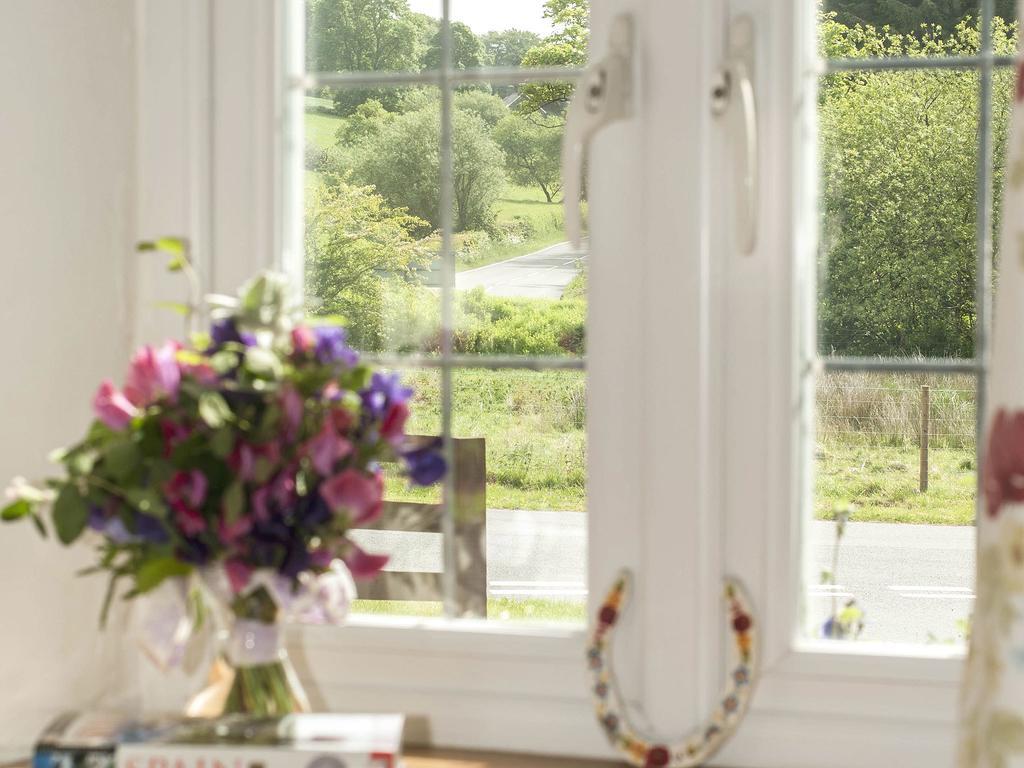 Bwthyn Bach Holiday Cottage 발라 객실 사진